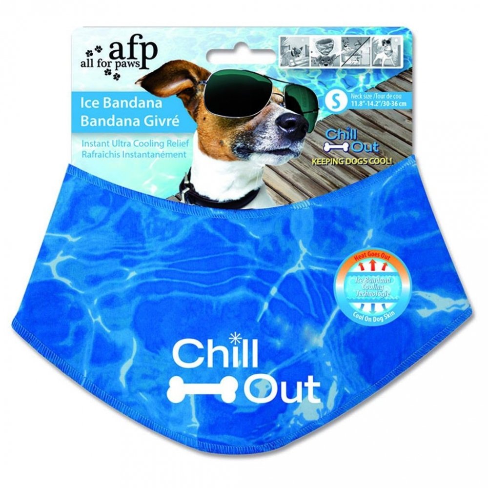 All For Paws Chill Out Ice Bandana (M)