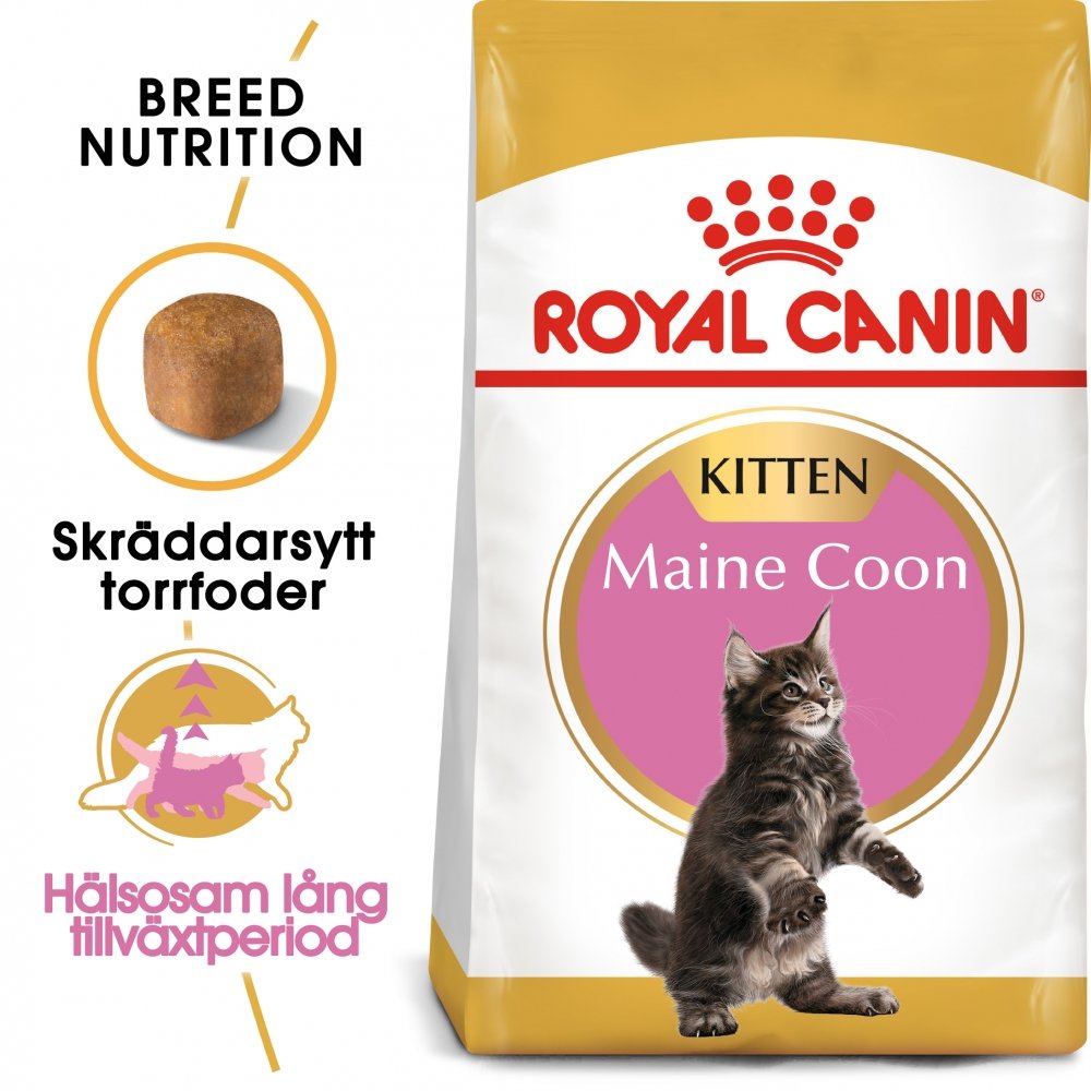 Royal Canin Maine Coon Kitten (4 kg)