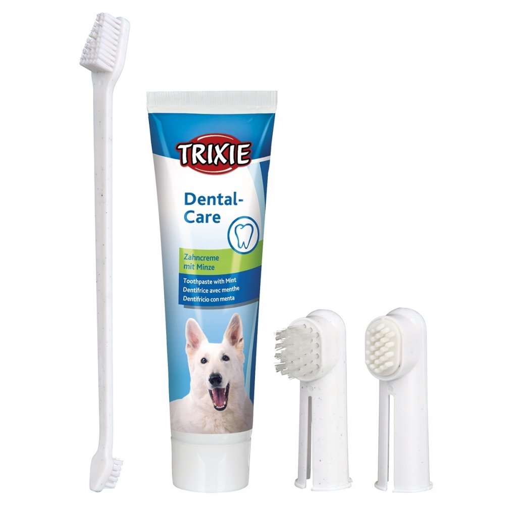 Produktfoto för Trixie tandvårdsset, tandkräm med mintsmak