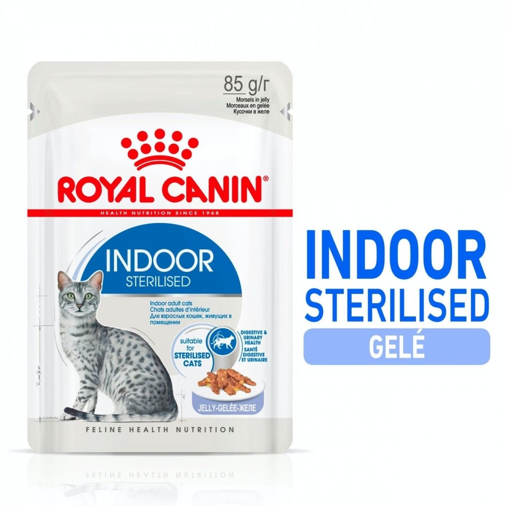 Royal Canin Cat Adult Indoor Sterilised Jelly 12×85 g