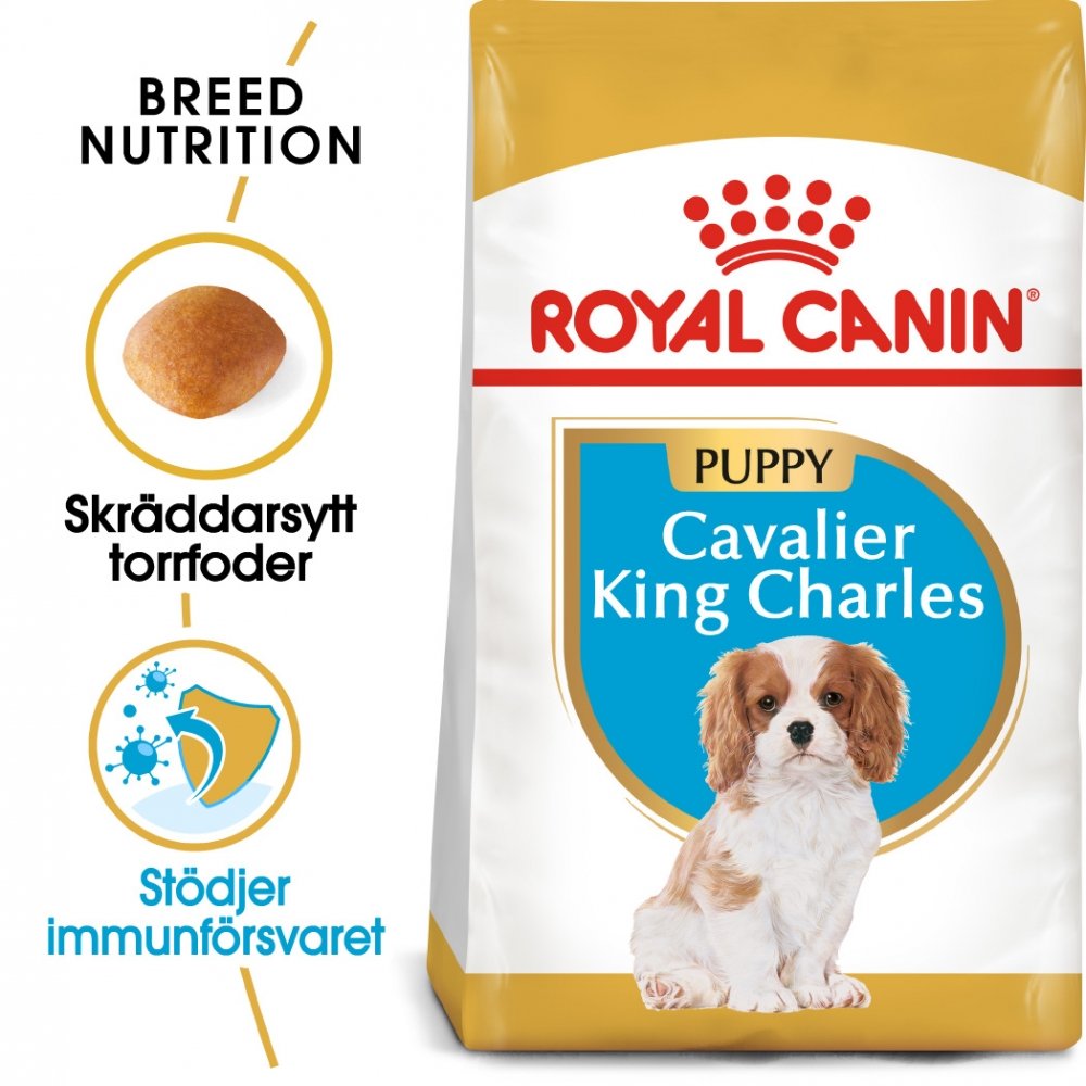 Royal Canin Breed Cavalier King Charles Spaniel Junior 1,5 kg (1,5 kg)