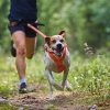 Non-Stop Dogwear Freemotion 5.0 Dragsele Orange & Svart