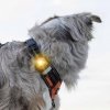 Orbiloc Dual Safety Light (Gul)