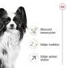 Royal Canin Dog X-Small Adult +8
