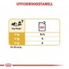 Royal Canin Breed Dachshund 12x85g