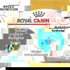 Royal Canin French Bulldog Puppy torrfoder för hundvalp