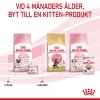 Royal Canin Mother & Babycat Mousse