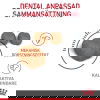 Royal Canin Dental Care Adult torrfoder för katt