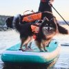 Non-Stop Dogwear Protector Flytväst till Hund Orange & Svart
