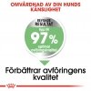 Royal Canin Maxi Digestive Care