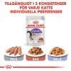 Royal Canin Sterilised Gravy 12x85 g