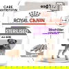 Royal Canin Sterilised Adult Loaf våtfoder för hund 12x85 g