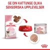 Royal Canin Mother & Babycat Mousse