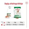 Royal Canin Mini Adult Loaf 195 g