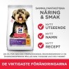 Hills Science Plan Dog Adult Small & Mini Sensitive Stomach & Skin Chicken