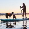 Non-Stop Dogwear Protector Flytväst till Hund Orange & Svart
