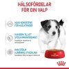 Royal Canin Mini Puppy 12x85g