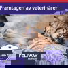 Feliway Friends Doftavgivare 48 ml