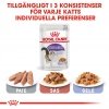 Royal Canin Sterilised Jelly 12x85 g