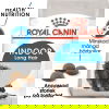 Royal Canin Indoor Long Hair Adult torrfoder för katt