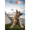Non-stop Dogwear Rock Harness Hundsele Svart/Orange
