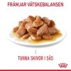 Royal Canin Cat Light Weight Care Gravy 12 x 85 g