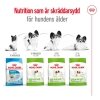 Royal Canin Dog X-Small Ageing +12