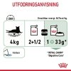 Royal Canin Digestive Care Gravy 12 x 85 g