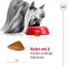 Royal Canin Dog X-Small Ageing +12