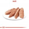 Royal Canin Dermacomfort Adult 12x85 g
