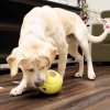 KONG Rewards Tennis Aktivitetsboll
