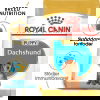 Royal Canin Dachshund Puppy torrfoder för hundvalp 1,5 kg