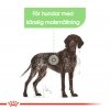 Royal Canin Maxi Digestive Care