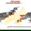 Royal Canin Cocker Adult torrfoder för hund