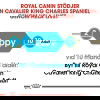 Royal Canin Cavalier King Charles Puppy torrfoder för hundvalp