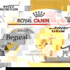 Royal Canin Bengal Adult torrfoder för katt