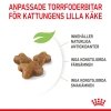 Royal Canin Kitten
