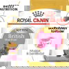 Royal Canin British Shorthair Kitten torrfoder för kattunge