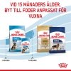 Royal Canin Dog Maxi Puppy