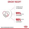Royal Canin Kitten
