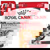 Royal Canin Medium Ageing Gravy våtfoder för hund 10x140g