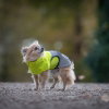 51 Degrees North Hundjacka med Reflex Gul