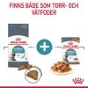 Royal Canin Hairball Care