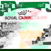 Royal Canin Mini Ageing Gravy våtfoder för hund 12x85g