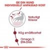 Royal Canin Dog Medium Adult