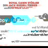 Royal Canin Jack Russell Terrier Puppy torrfoder för hundvalp