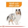 Royal Canin Coat Care Adult 12x85 g