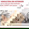 Royal Canin Veterinary Diets Dog Renal Small Dogs 3,5 kg