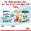 Royal Canin Mini Puppy 12x85g