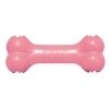 KONG Puppy Goodie Bone